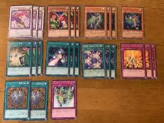 遊戯王⭐️ハーピィレディデッキパーツ⭐️ノーマル25枚セット