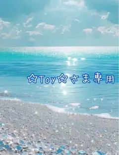 ☆Toy☆さま　専用です