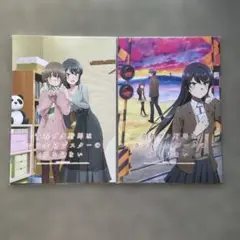 青春ブタ野郎 映画パンフレット 2冊 新品未開封品
