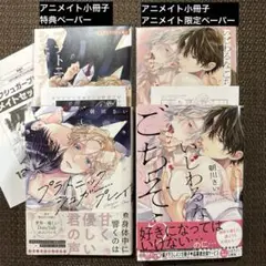 朝川さい プラトニックシュガープレイ いじわるなごちそう アニメイト 小冊子