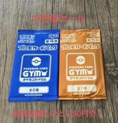 ポケモンカード 未開封 プロモカードパック 2種2パックセット ⑥