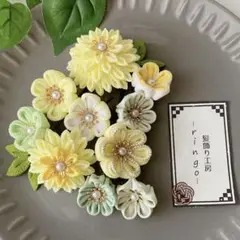 Item thumbnail for item c17abcda-d817-42c1-b22d-ec414714bc93