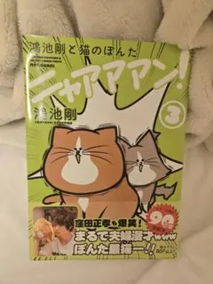 ニャアアマン！ 3