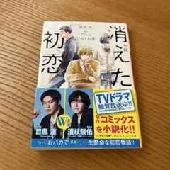 小説 消えた初恋