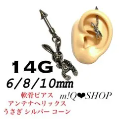 Item thumbnail for item cf076056-12a6-4d11-9319-f3d37abf299a