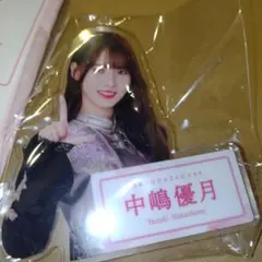 Item thumbnail for item 95cc9546-480a-4ef0-8b3c-0f744b8bf78f