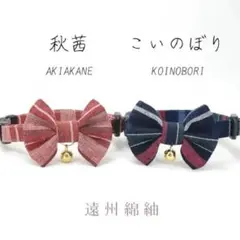 Item thumbnail for item b01483ad-074c-42a6-9f95-ae76bc974f0c
