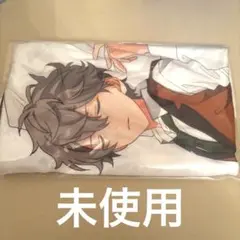 あんさんぶるスターズ！瀬名泉 抱き枕カバー Amazon.co.jp: 瀬名泉 抱き枕カバー 抱き枕 あんスタ : ホビー