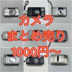 2025年最新】MINOLTA VECTIS 300Lの人気アイテム - メルカリ