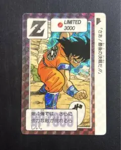 【美品】　Z 抽選プレゼント　ドラゴンボール　カードダス