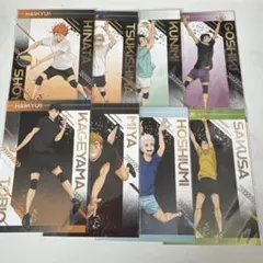 ハイキュー‼︎ ユース・疑似ユース合宿フェア アニメイト 全種