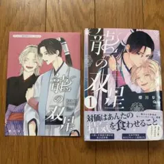 龍の双星　新品購入一読品　アニメイトリーフレット付き