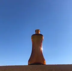 Item thumbnail for item 5527e794-35b1-42df-918e-963154b98234