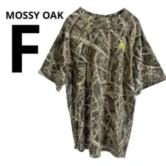 Item thumbnail for item b52e24f6-4095-4242-a112-41de0ce92475