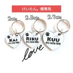 Item thumbnail for item e5e6974d-9a3a-4b6b-8303-570a582b19a9