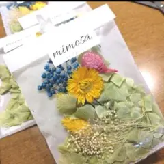 ハーバリウム用ドライフラワー ハンドメイド ブリザードフラワー