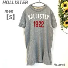ホリスター　HOLLISTER 半袖トップス　S メンズ　　ロゴTシャツ　グレー