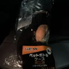 ペットボトルケース B賞 ライオン勇人