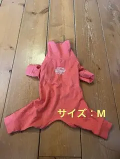 Item thumbnail for item 17db5e45-3dc4-4968-8a58-47d34e380e83