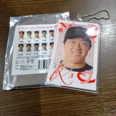 阪神タイガース2025 シークレット　レイヤーアクリルキーホルダー　大山選手