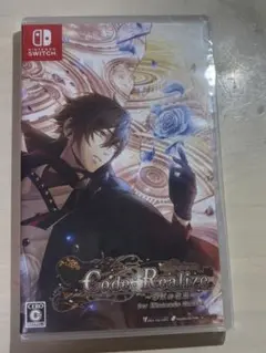 Code Realize 〜彩虹の花束〜 Switch ソフト