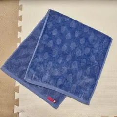 Item thumbnail for item 88d7f036-616b-4836-bcbd-051f9c08ce42