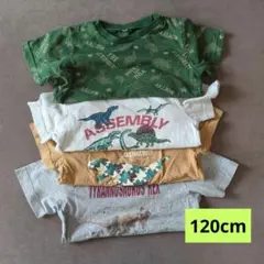 110-120cm キッズTシャツ４枚セット 恐竜柄