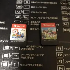 Nintendo Switch ゲーム 2本セット