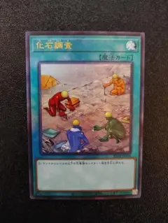 遊戯王 化石調査 レリーフ