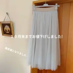 最安値♥ファビアナフィリッピチュールスカート