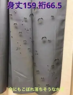 青木龍雲 訪問着 手描き 水滴に花枝 金彩 落款入り 作家物