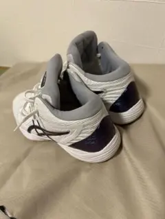 ASICS バスケットボールシューズ ゲルフープ V14