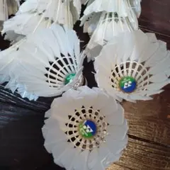 エアロセンサ700 中古シャトル