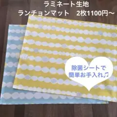 Item thumbnail for item 2e2d1b17-afd3-4442-b0d7-9a6cd71d852f