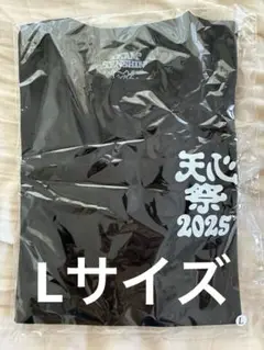 VERDY 天心祭 ケラップTシャツ ブラック Lサイズ