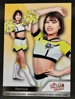 Item thumbnail for item a0393e90-c6f7-4ab9-ba24-54a358d1f0c3