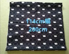 Item thumbnail for item 12578de3-1de0-4c9f-923e-5bec03cf5072