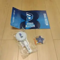 Item thumbnail for item 1c204923-cf39-4454-af59-e35c6e2d98a4