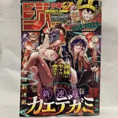 週刊少年ジャンプ 2025年 No30 7月7日号