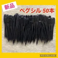 Item thumbnail for item 336f5c3c-64fd-46a0-b2ad-6021bba91b24