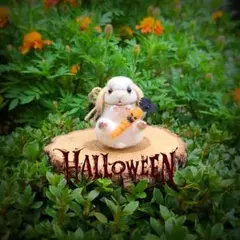 Item thumbnail for item 827fa276-c688-4122-b1fe-3db253cc4799