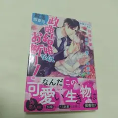 腹黒御曹司と政略結婚なんてお断り!～財閥令嬢は偽恋人探しに奔走中～