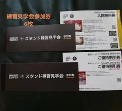 選手を間近で見ることができる、グラウンド練習見学会参加券は