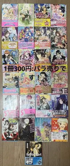 ジャンルがバラバラな小説-バラ売り　(1冊300円)