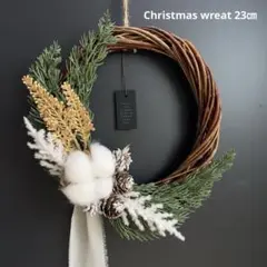 Item thumbnail for item f8095875-fe39-43f7-afbc-9fff1c4bfe82