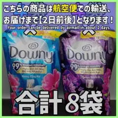 Item thumbnail for item e1315833-81ed-4e2f-94d5-1af4c832385f