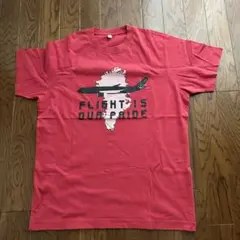 未使用 ユニクロ×グリーンランド航空 コラボair greenland Tシャツ