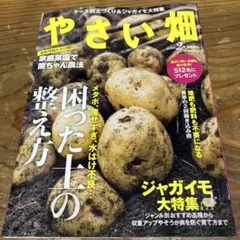 やさい畑 2025年2月号
