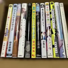 BL漫画 まとめ売り　12冊