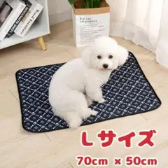 Item thumbnail for item 920c9a5f-dd25-4280-8645-a351c4fa405a